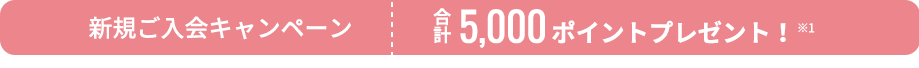 新規入会特典今なら1,000Pプレゼント！