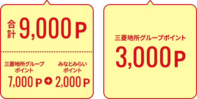 3000P